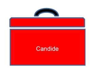 f613fe687c26dc4ae1744d8bfe4306af